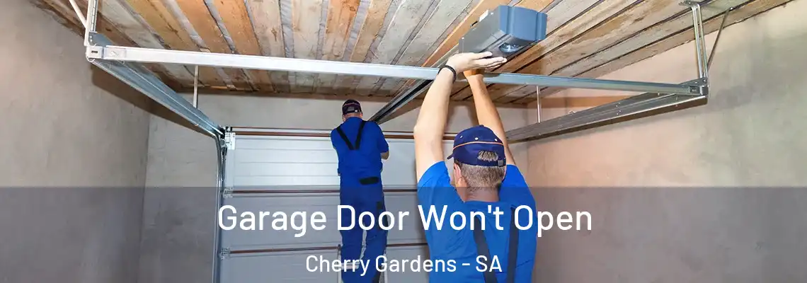 Garage Door Won't Open Cherry Gardens - SA