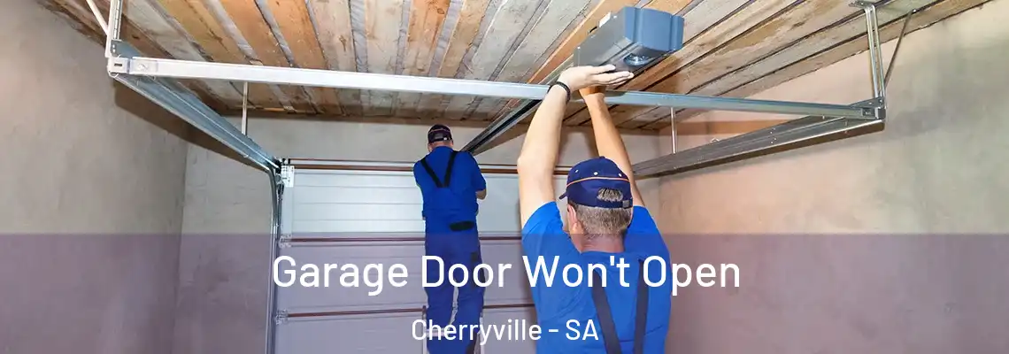  Garage Door Won't Open Cherryville - SA
