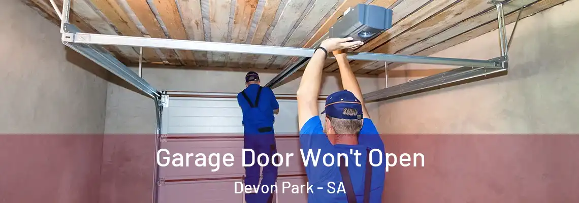 Garage Door Won't Open Devon Park - SA