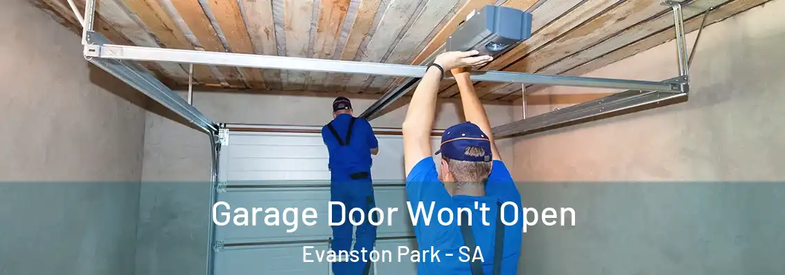 Garage Door Won't Open Evanston Park - SA