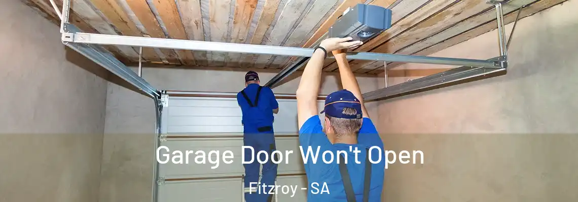 Garage Door Won't Open Fitzroy - SA