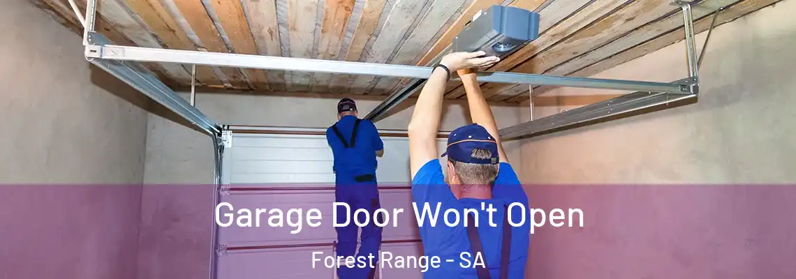 Garage Door Won't Open Forest Range - SA