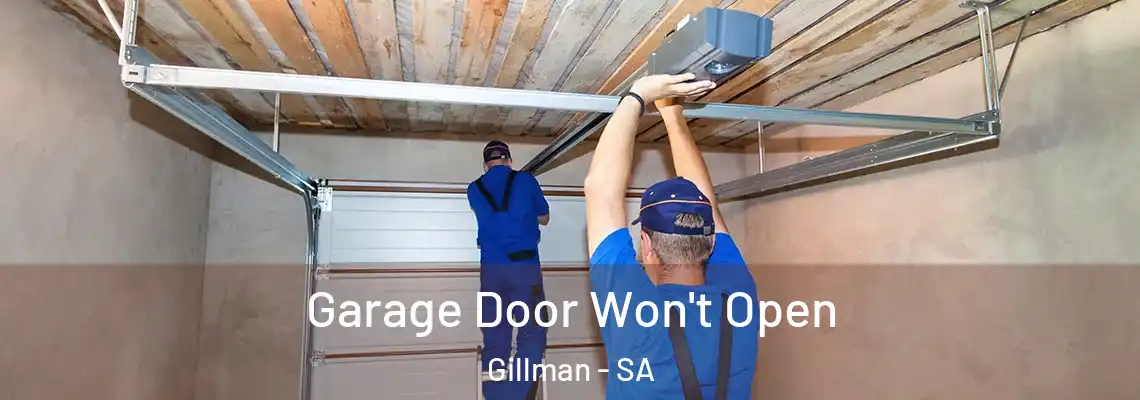 Garage Door Won't Open Gillman - SA