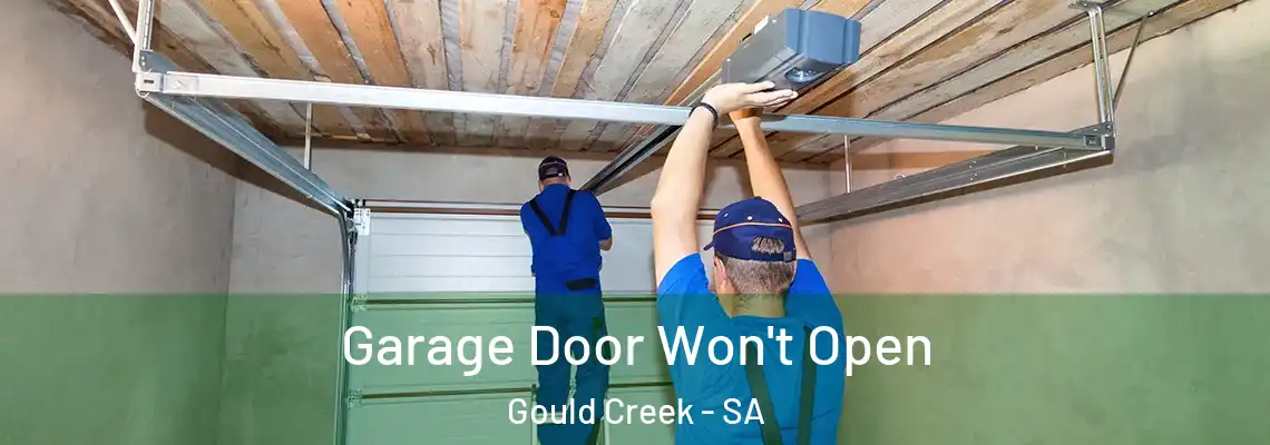 Garage Door Won't Open Gould Creek - SA