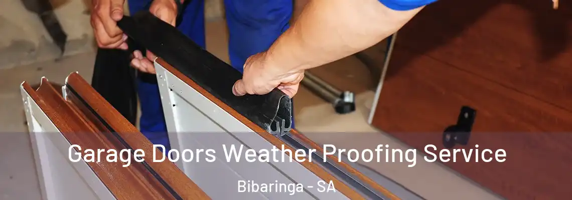 Garage Doors Weather Proofing Service Bibaringa - SA