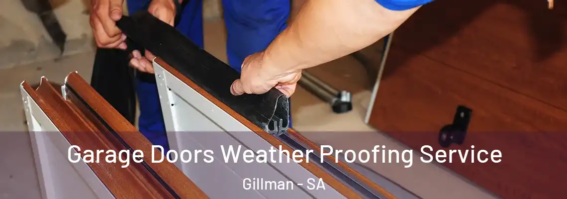 Garage Doors Weather Proofing Service Gillman - SA