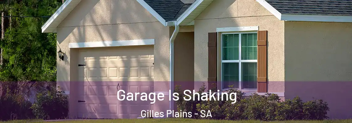 Garage Is Shaking Gilles Plains - SA