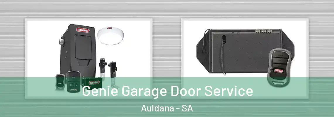 Genie Garage Door Service Auldana - SA