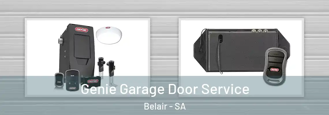 Genie Garage Door Service Belair - SA