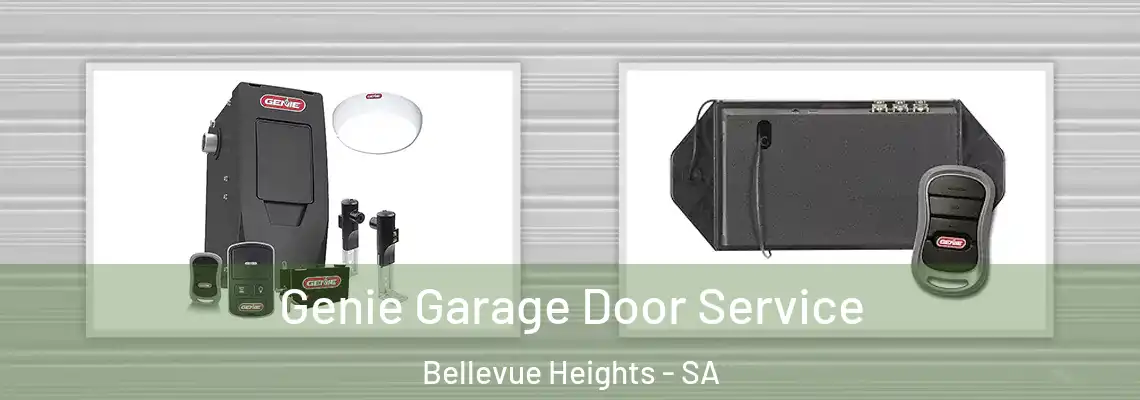  Genie Garage Door Service Bellevue Heights - SA