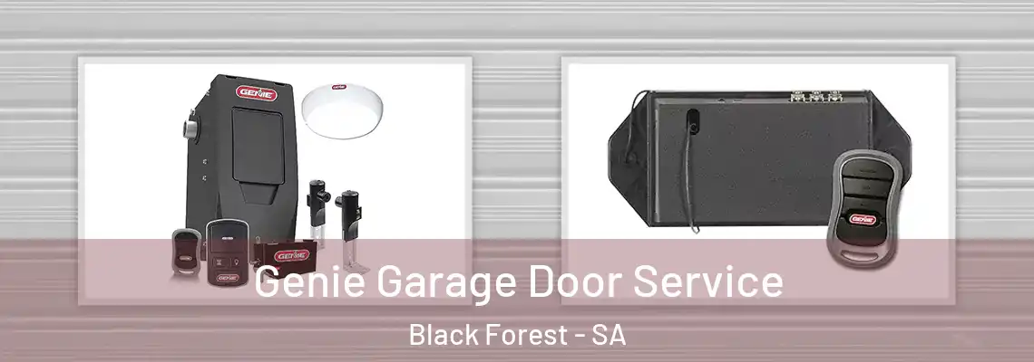 Genie Garage Door Service Black Forest - SA