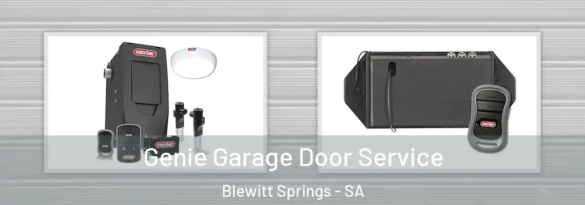  Genie Garage Door Service Blewitt Springs - SA