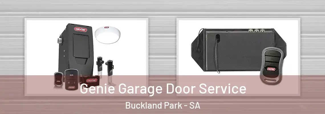  Genie Garage Door Service Buckland Park - SA