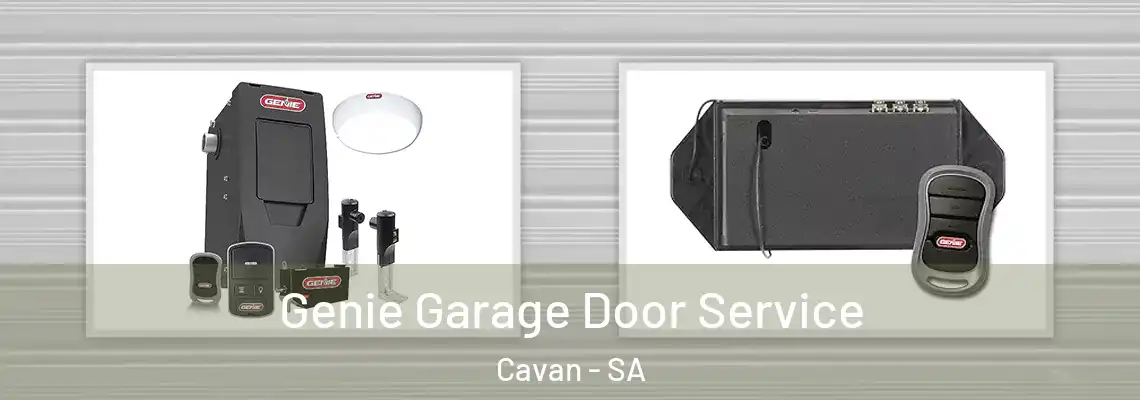  Genie Garage Door Service Cavan - SA