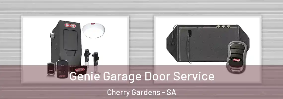 Genie Garage Door Service Cherry Gardens - SA