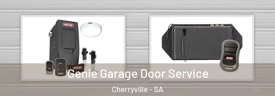  Genie Garage Door Service Cherryville - SA