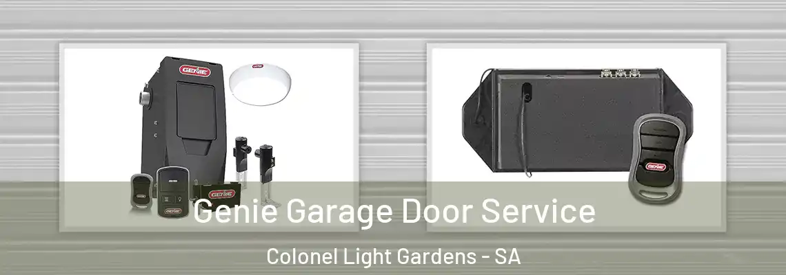  Genie Garage Door Service Colonel Light Gardens - SA