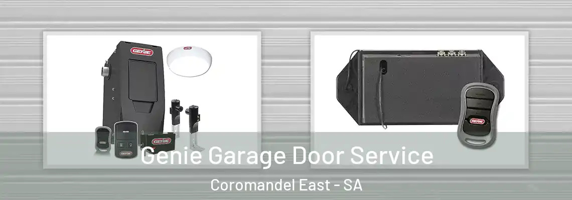 Genie Garage Door Service Coromandel East - SA