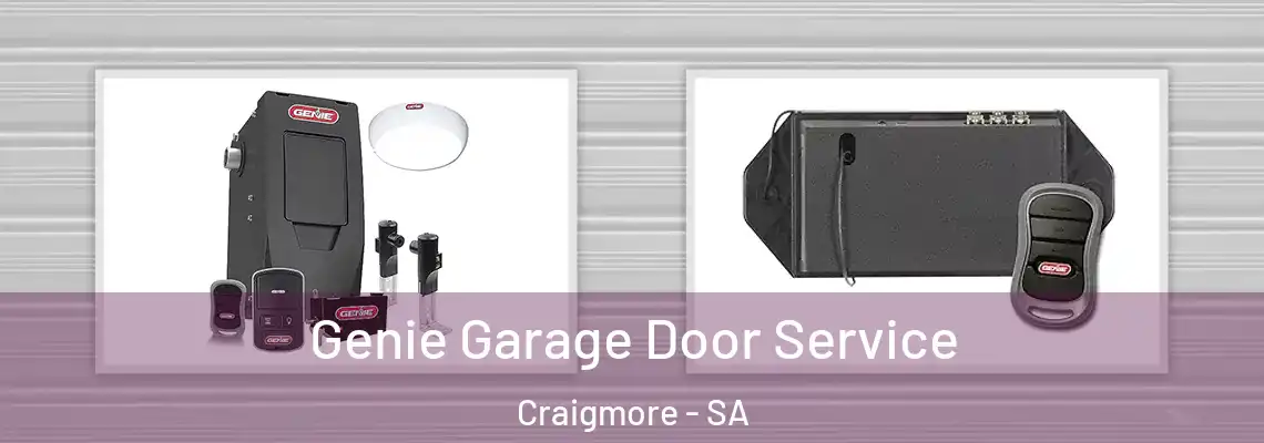 Genie Garage Door Service Craigmore - SA