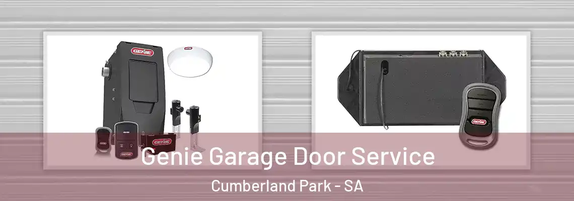 Genie Garage Door Service Cumberland Park - SA