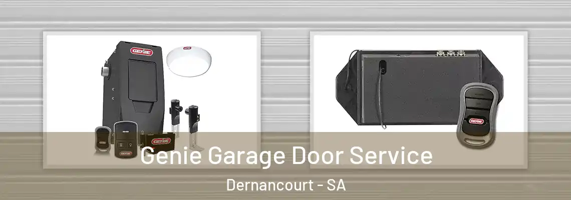  Genie Garage Door Service Dernancourt - SA