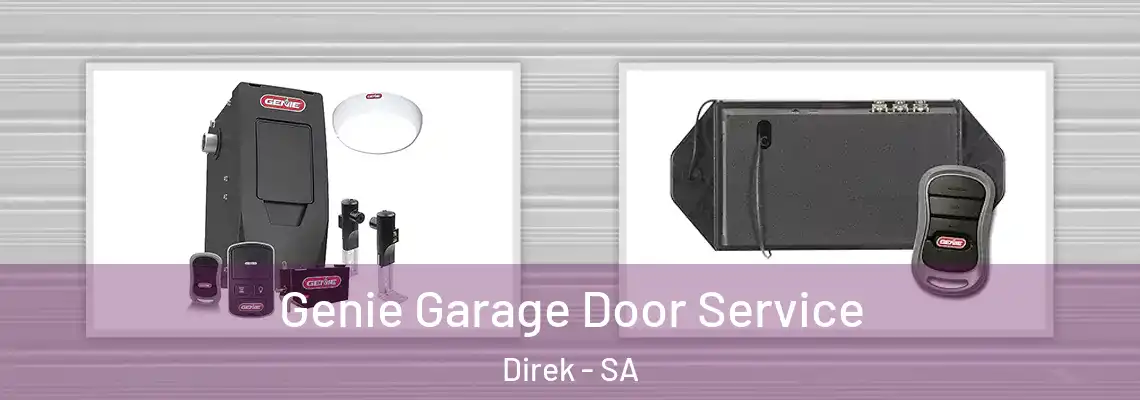  Genie Garage Door Service Direk - SA