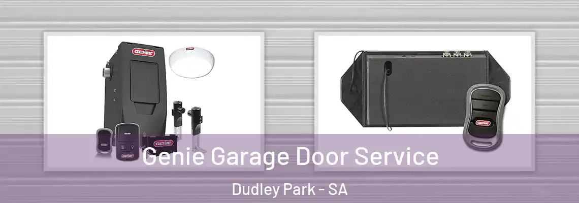  Genie Garage Door Service Dudley Park - SA