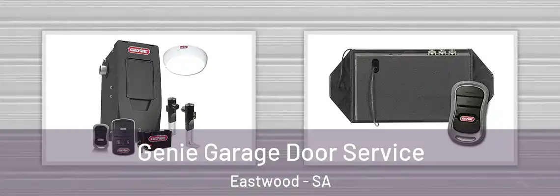 Genie Garage Door Service Eastwood - SA