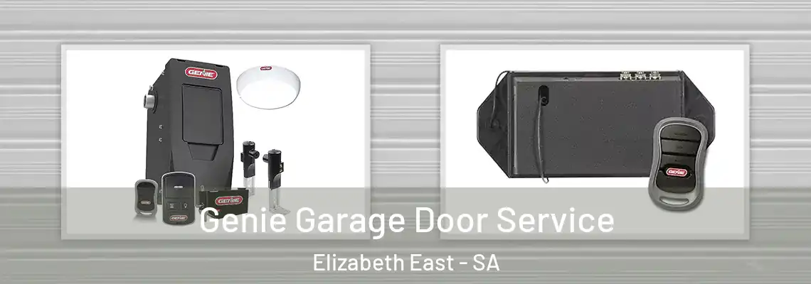  Genie Garage Door Service Elizabeth East - SA