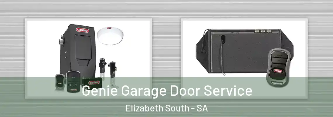  Genie Garage Door Service Elizabeth South - SA
