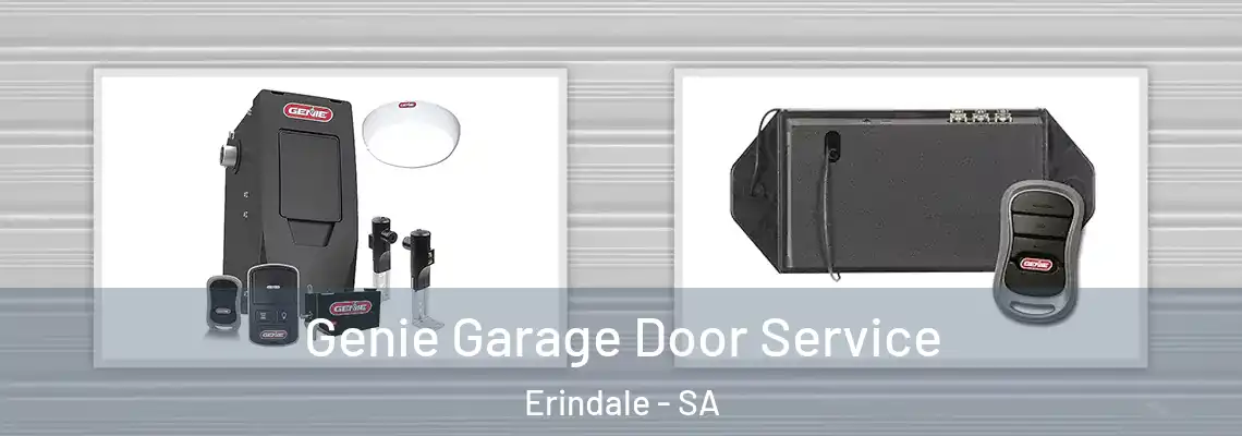  Genie Garage Door Service Erindale - SA