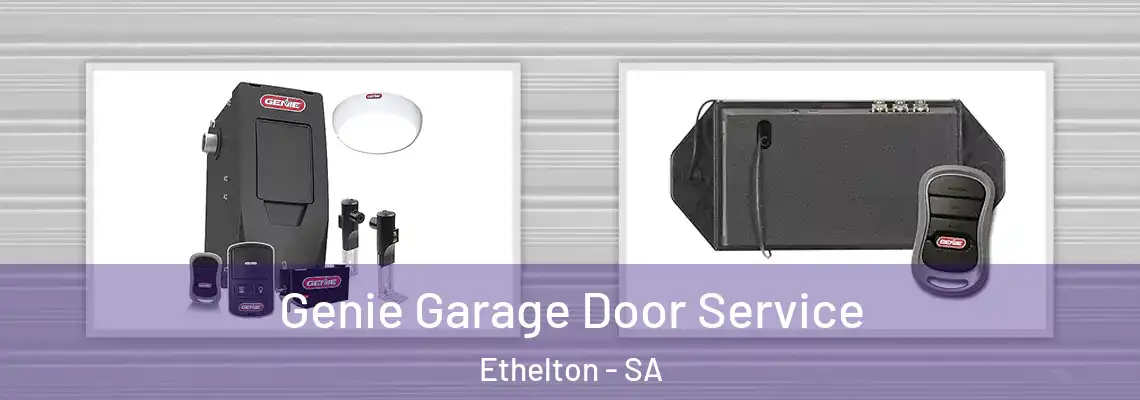  Genie Garage Door Service Ethelton - SA