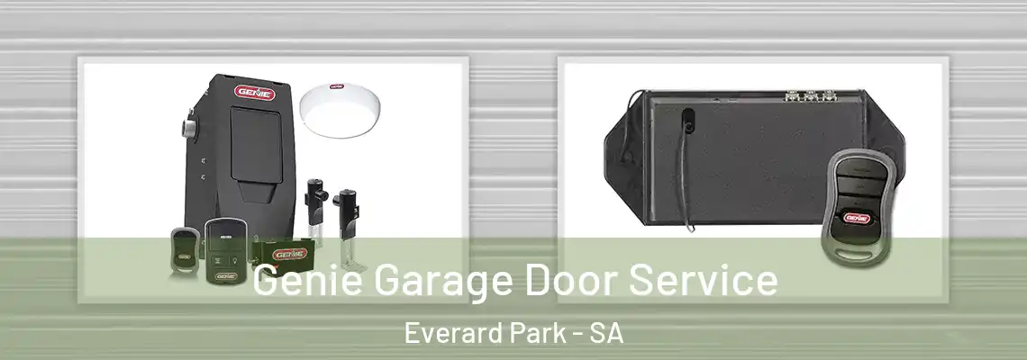  Genie Garage Door Service Everard Park - SA