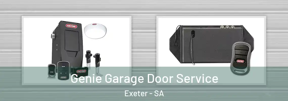  Genie Garage Door Service Exeter - SA