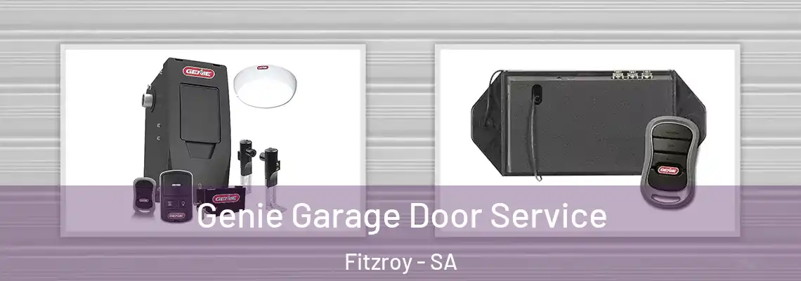  Genie Garage Door Service Fitzroy - SA