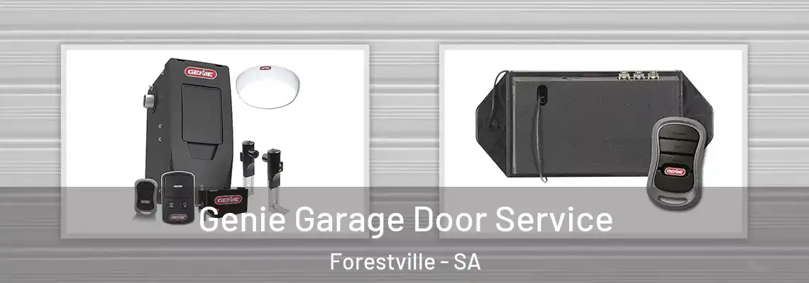 Genie Garage Door Service Forestville - SA