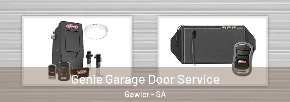  Genie Garage Door Service Gawler - SA