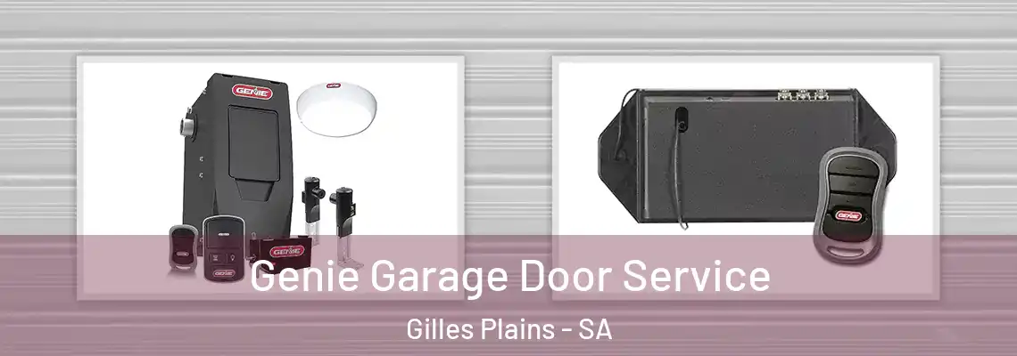  Genie Garage Door Service Gilles Plains - SA