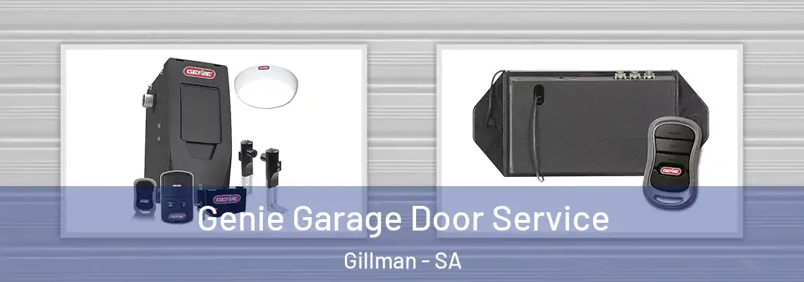  Genie Garage Door Service Gillman - SA