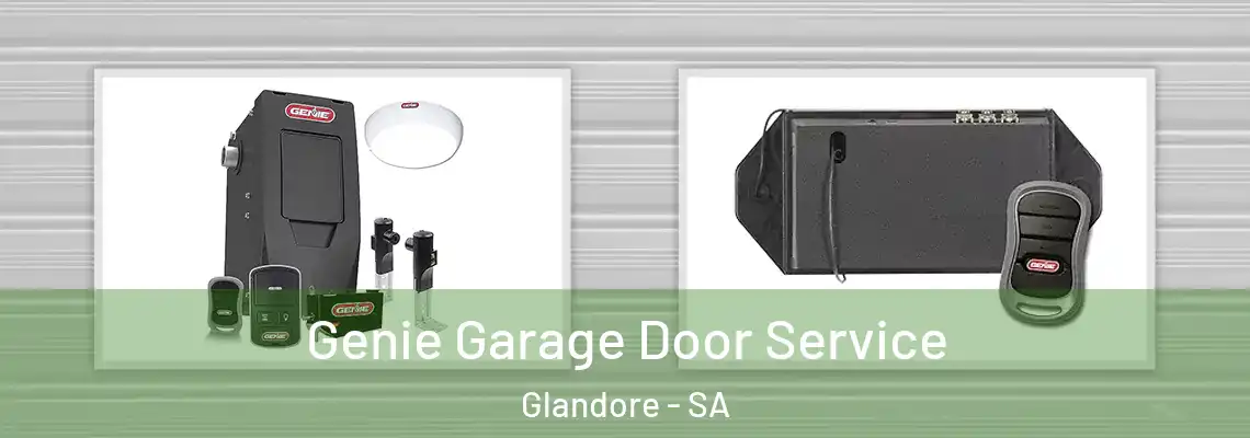 Genie Garage Door Service Glandore - SA