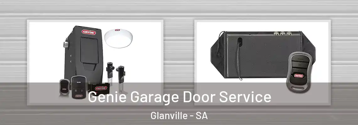 Genie Garage Door Service Glanville - SA