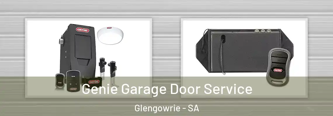 Genie Garage Door Service Glengowrie - SA