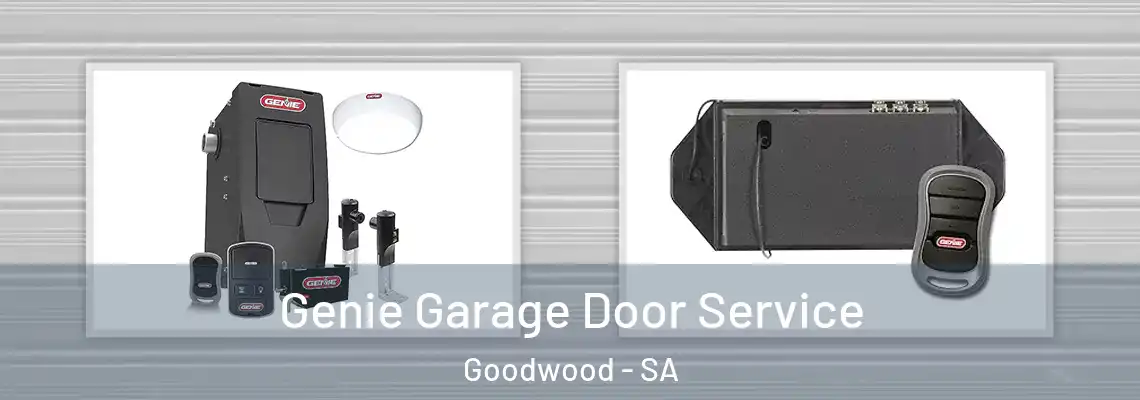  Genie Garage Door Service Goodwood - SA