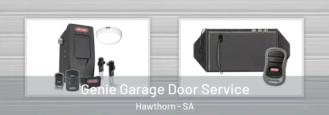 Genie Garage Door Service Hawthorn - SA