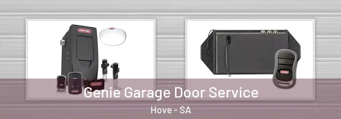  Genie Garage Door Service Hove - SA