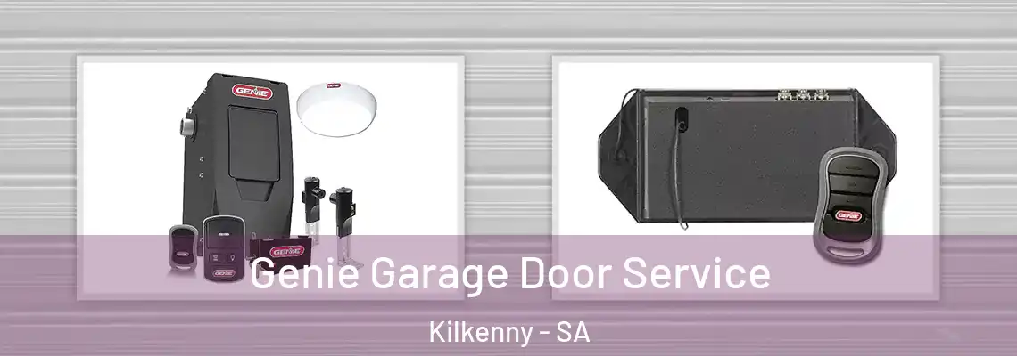  Genie Garage Door Service Kilkenny - SA
