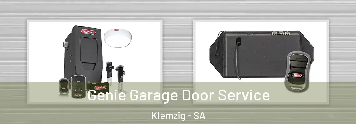 Genie Garage Door Service Klemzig - SA