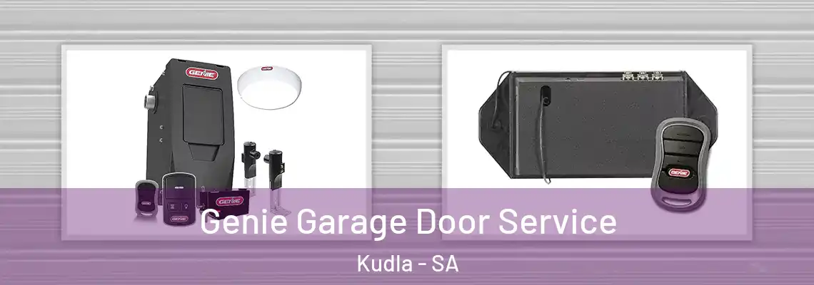 Genie Garage Door Service Kudla - SA
