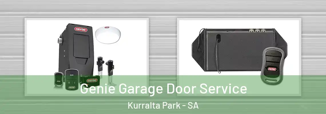 Genie Garage Door Service Kurralta Park - SA