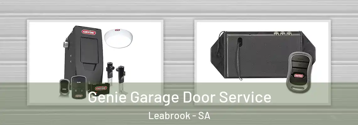 Genie Garage Door Service Leabrook - SA